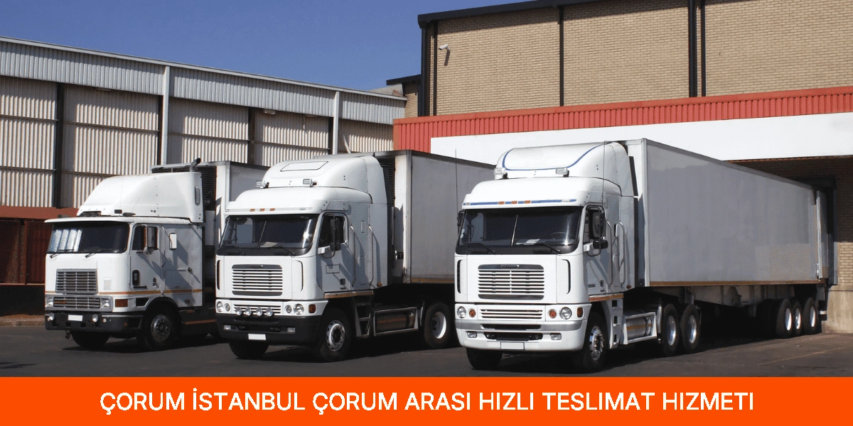 İstanbul Çorum Arası Hızlı Teslimat Hizmeti