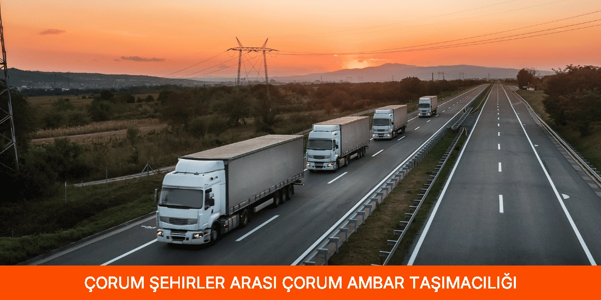 Şehirler Arası Çorum Ambar Taşımacılığı